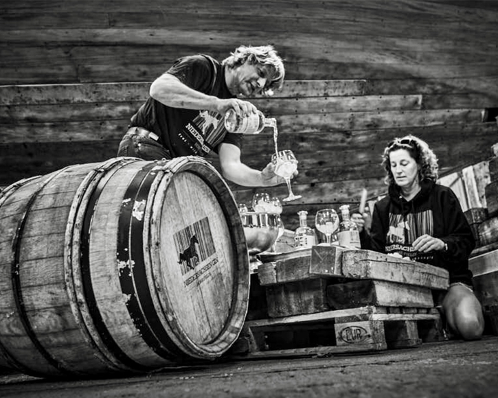 gin hannover niedersachsen to bristol